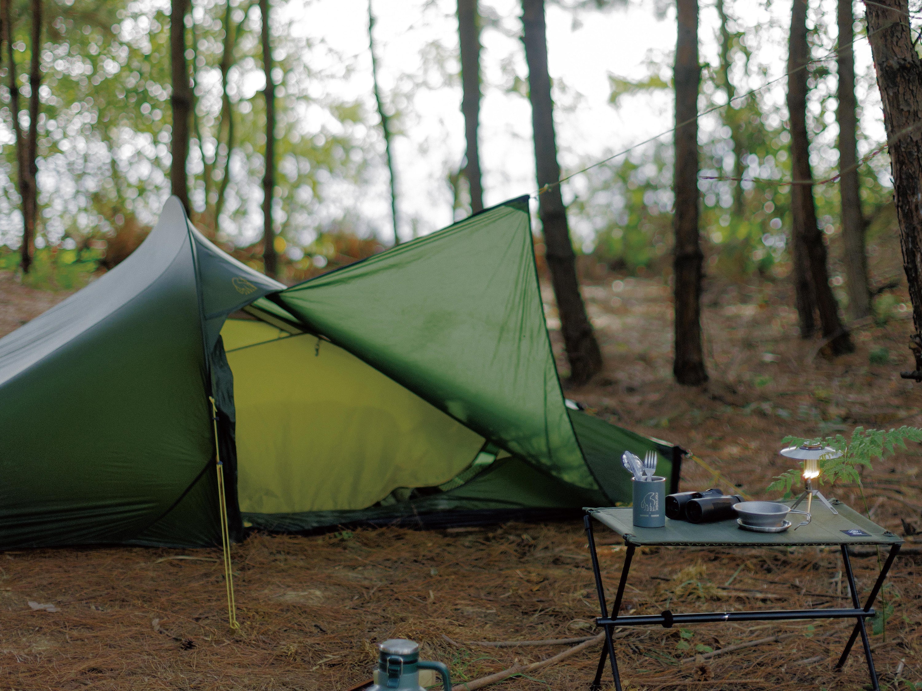 Telemark 2.2 LW tent - 2 person - Forest Green